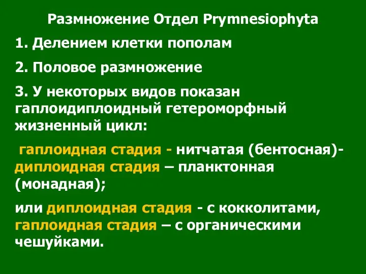 Размножение Отдел Prymnesiophyta 1. Делением клетки пополам 2. Половое размножение