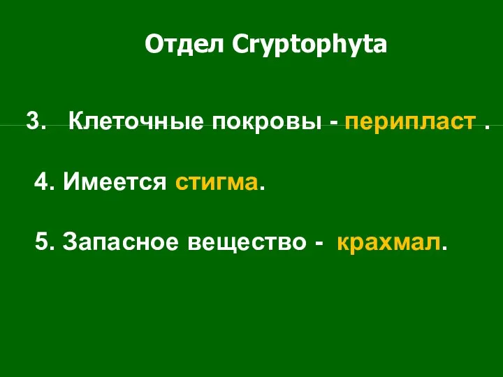 Отдел Cryptophyta Клеточные покровы - перипласт . 4. Имеется стигма. 5. Запасное вещество - крахмал.