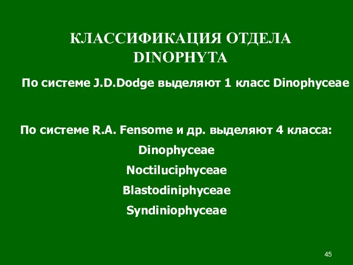 КЛАССИФИКАЦИЯ ОТДЕЛА DINOPHYTA По системе J.D.Dodge выделяют 1 класс Dinophyceae