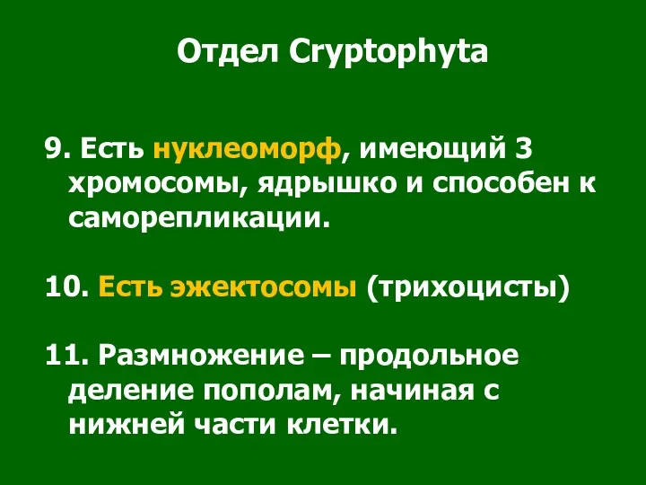 Отдел Cryptophyta 9. Есть нуклеоморф, имеющий 3 хромосомы, ядрышко и