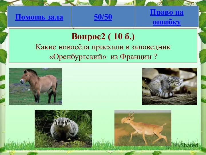 Вопрос2 ( 10 б.) Какие новосёла приехали в заповедник «Оренбургский» из Франции ?