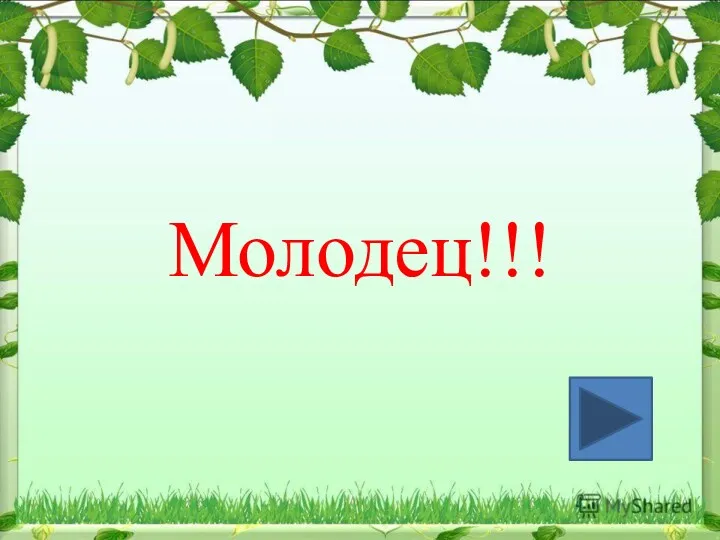 Молодец!!!