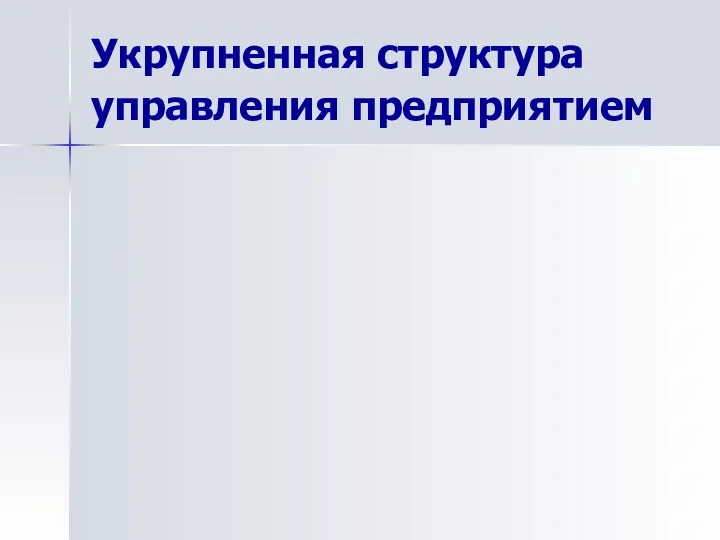 Укрупненная структура управления предприятием