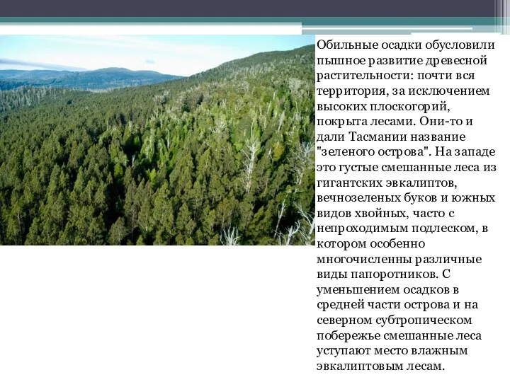 Обильные осадки обусловили пышное развитие древесной растительности: почти вся территория,