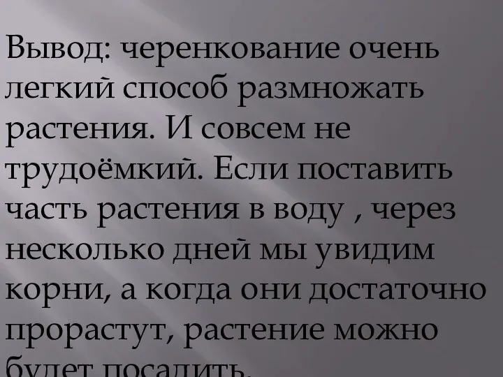 Вывод: черенкование очень легкий способ размножать растения. И совсем не