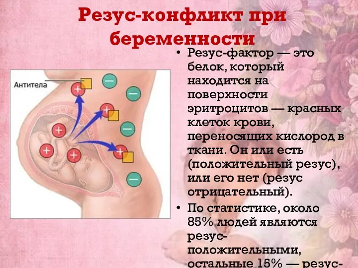 Резус-конфликт при беременности Резус-фактор — это белок, который находится на