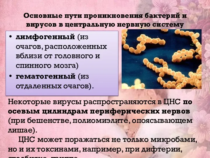 Основные пути проникновения бактерий и вирусов в центральную нервную систему