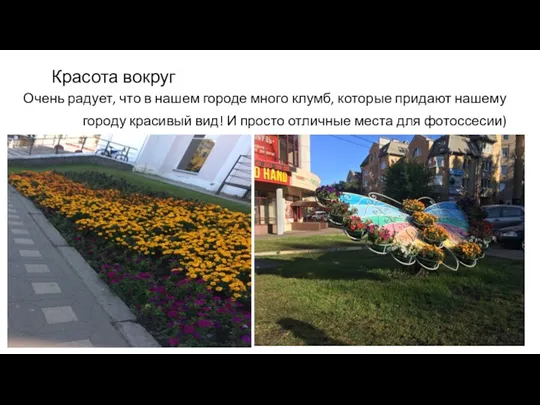 Очень радует, что в нашем городе много клумб, которые придают