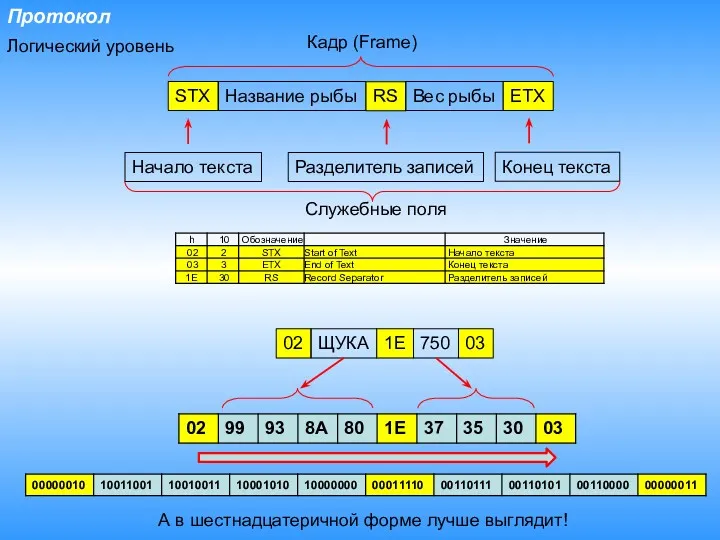 Протокол STX Название рыбы RS Вес рыбы ETX Начало текста