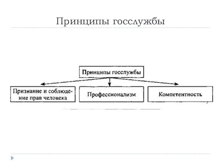 Принципы госслужбы