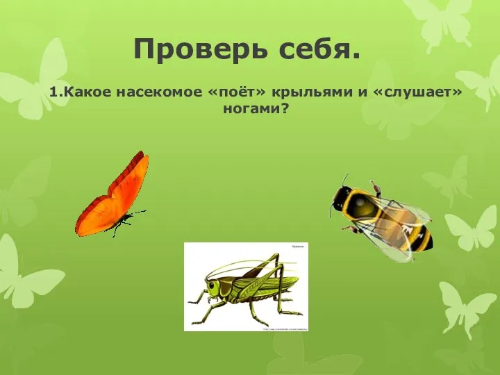 1.Какое насекомое «поёт» крыльями и «слушает» ногами? Проверь себя.