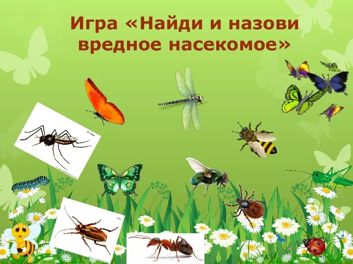 Игра «Найди и назови вредное насекомое»