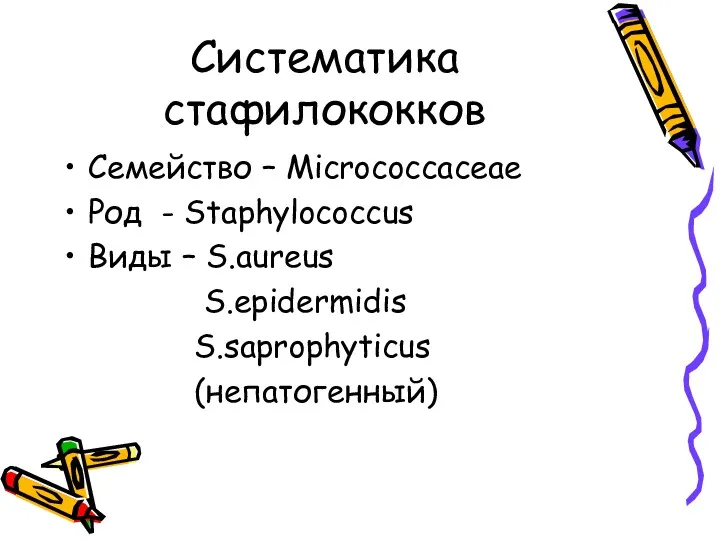 Систематика стафилококков Семейство – Micrococcaceae Род - Staphylococcus Виды – S.aureus S.epidermidis S.saprophyticus (непатогенный)