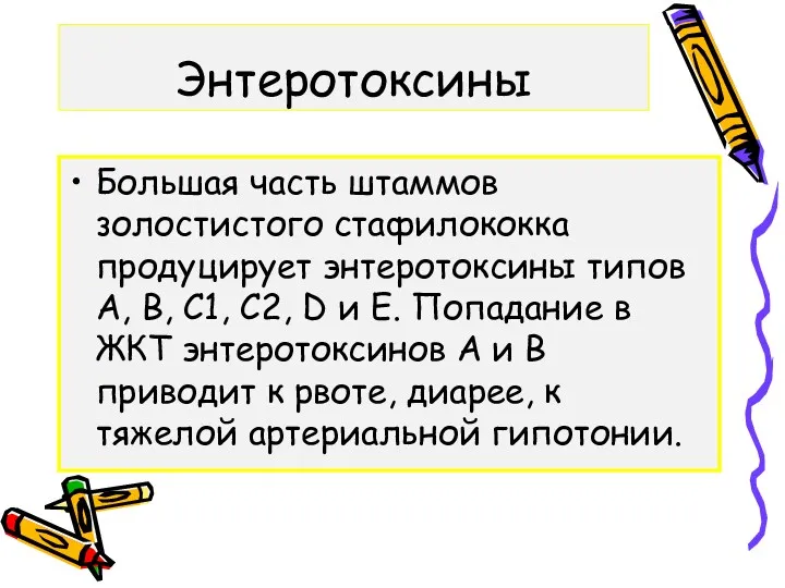 Энтеротоксины Большая часть штаммов золостистого стафилококка продуцирует энтеротоксины типов А,