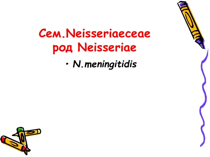 Сем.Neisseriaeceae род Neisseriae N.meningitidis