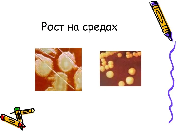 Рост на средах