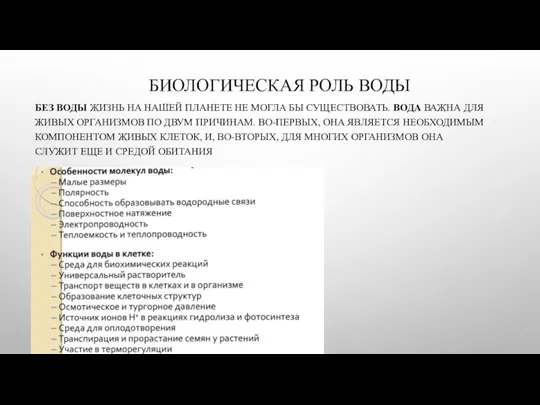 БИОЛОГИЧЕСКАЯ РОЛЬ ВОДЫ БЕЗ ВОДЫ ЖИЗНЬ НА НАШЕЙ ПЛАНЕТЕ НЕ