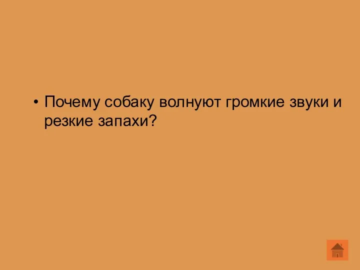 Почему собаку волнуют громкие звуки и резкие запахи?