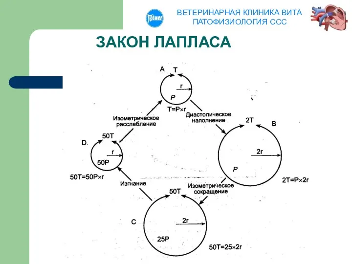 ЗАКОН ЛАПЛАСА