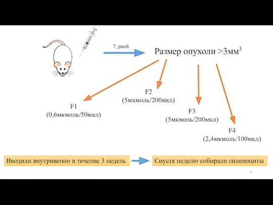 Размер опухоли >3мм3 7 дней F1 (0,6мкмоль/50мкл) F2 (5мкмоль/200мкл) F3