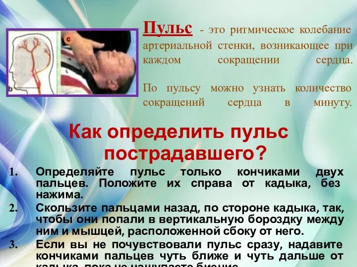 Пульс - это ритмическое колебание артериальной стенки, возникающее при каждом