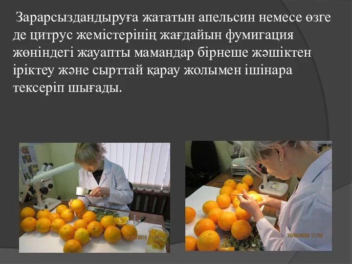 Зарарсыздандыруға жататын апельсин немесе өзге де цитрус жемістерінің жағдайын фумигация
