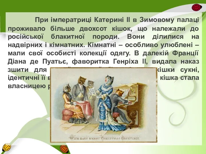 При імператриці Катерині II в Зимовому палаці проживало більше двохсот кішок, що належали