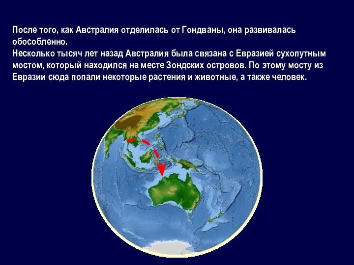 После того, как Австралия отделилась от Гондваны, она развивалась обособленно.