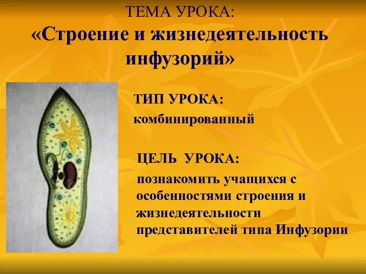 ТЕМА УРОКА: «Строение и жизнедеятельность инфузорий» ТИП УРОКА: комбинированный ЦЕЛЬ