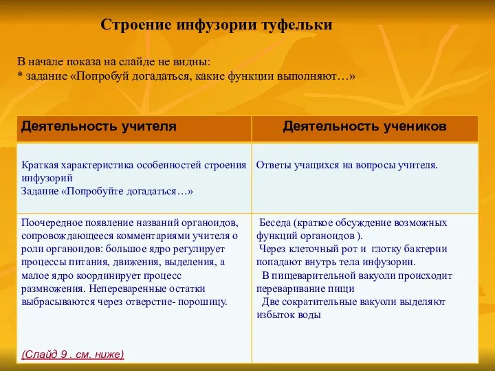 Строение инфузории туфельки В начале показа на слайде не видны: