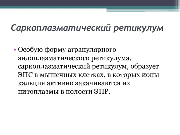 Саркоплазматический ретикулум Особую форму агранулярного эндоплазматического ретикулума, саркоплазматический ретикулум, образует