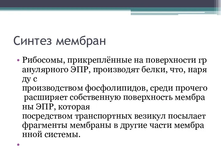 Синтез мембран Рибосомы, прикреплённые на поверхности гранулярного ЭПР, производят белки,