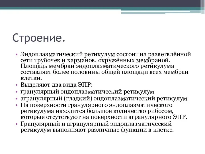 Строение. Эндоплазматический ретикулум состоит из разветвлённой сети трубочек и карманов,