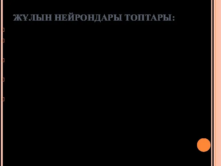 ЖҰЛЫН НЕЙРОНДАРЫ ТОПТАРЫ: Мотонейрондар немесе қозғалтқыш – алдыңғы түбір; Интернейрондар