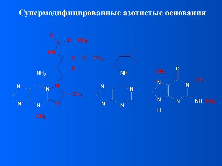 Супермодифицированные азотистые основания