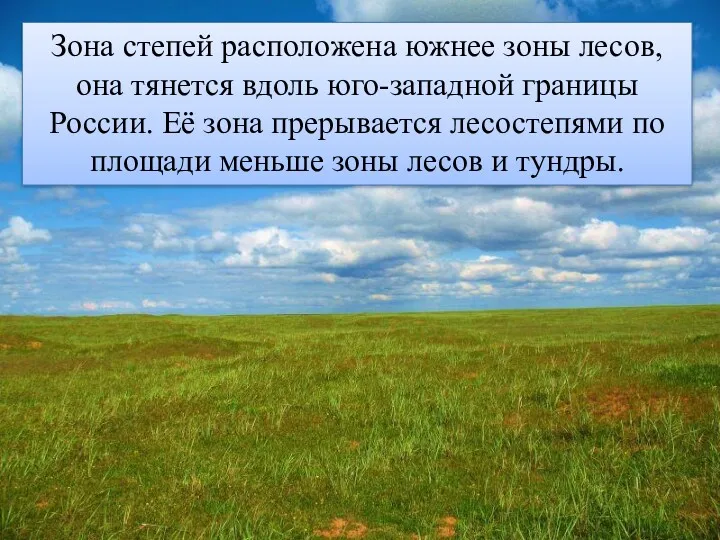 Зона степей расположена южнее зоны лесов, она тянется вдоль юго-западной