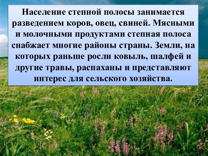 Население степной полосы занимается разведением коров, овец, свиней. Мясными и