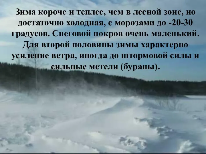 Зима короче и теплее, чем в лесной зоне, но достаточно