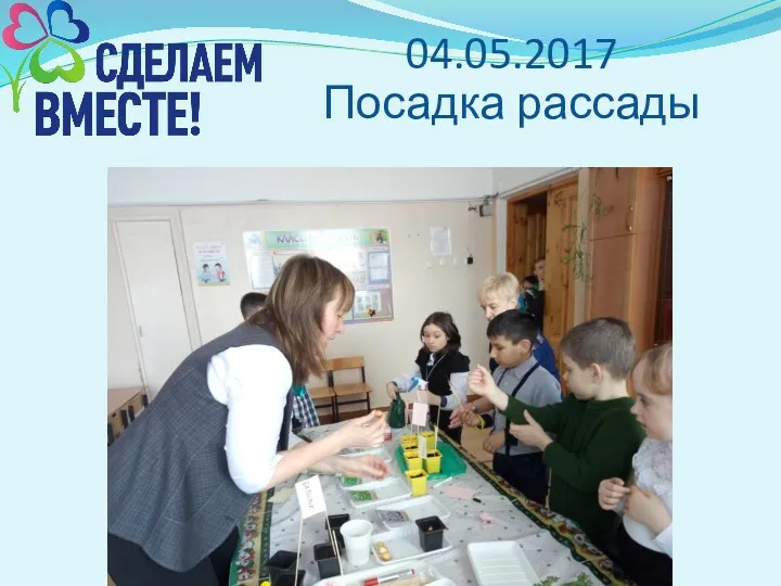 04.05.2017 Посадка рассады