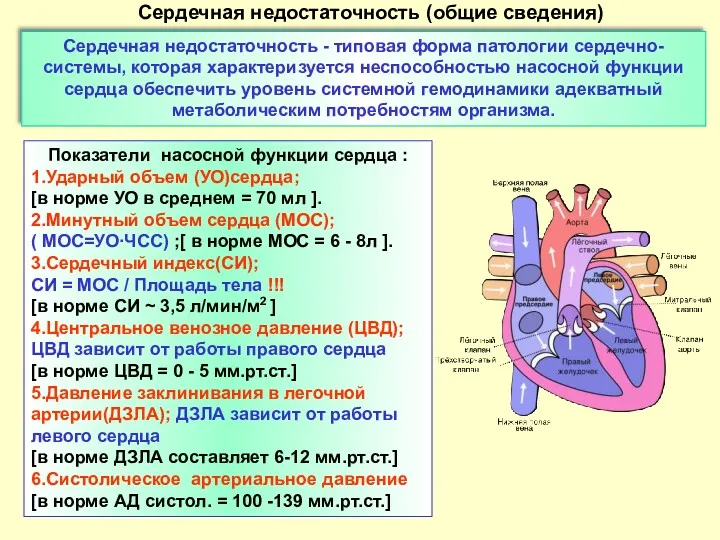 Сердечная недостаточность - типовая форма патологии сердечно- системы, которая характеризуется