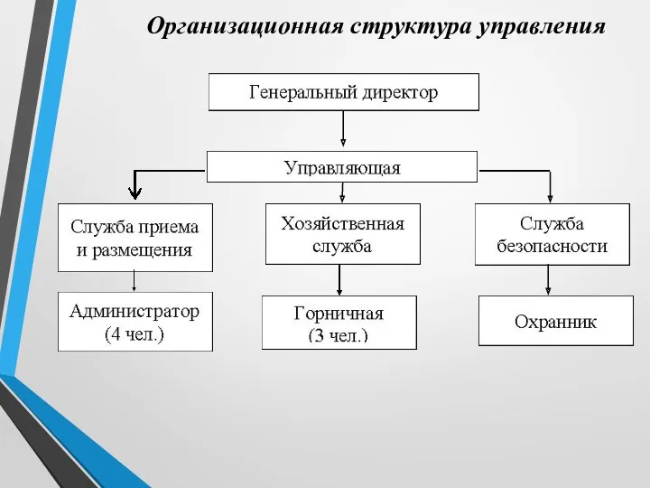 Организационная структура управления
