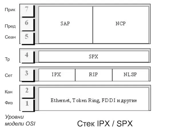 Стек IPX / SPX Уровни модели OSI Прик Пред Сеан Тр Сет Кан Физ