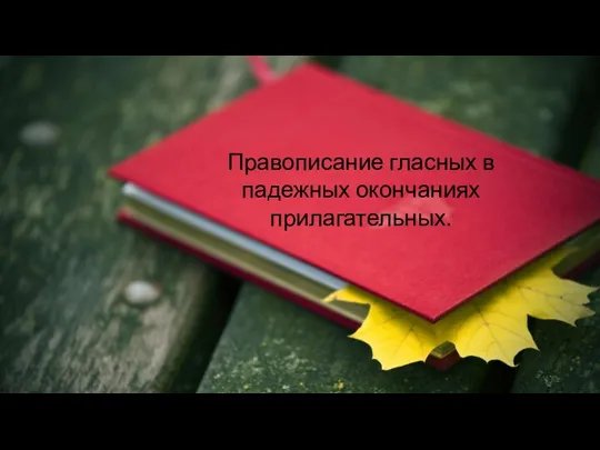 Правописание гласных в падежных окончаниях прилагательных.