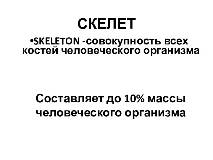 СКЕЛЕТ SKELETON -совокупность всех костей человеческого организма Составляет до 10% массы человеческого организма