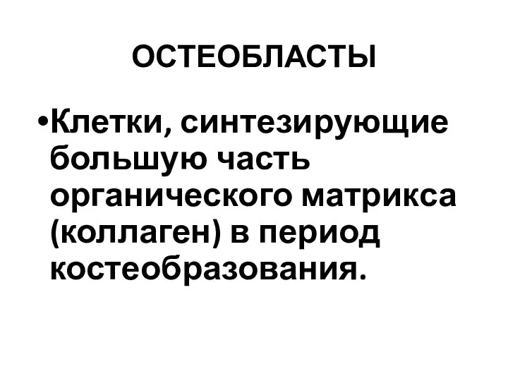 ОСТЕОБЛАСТЫ Клетки, синтезирующие большую часть органического матрикса (коллаген) в период костеобразования.