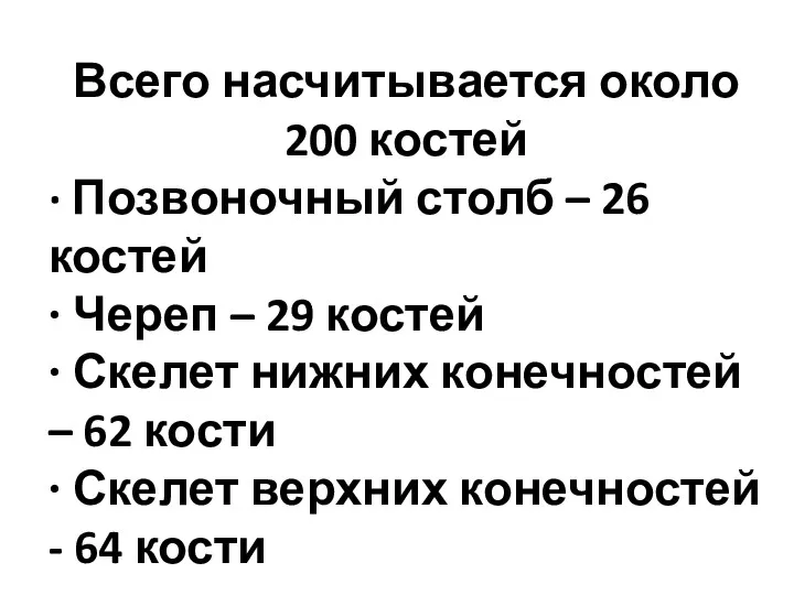 Всего насчитывается около 200 костей ∙ Позвоночный столб – 26