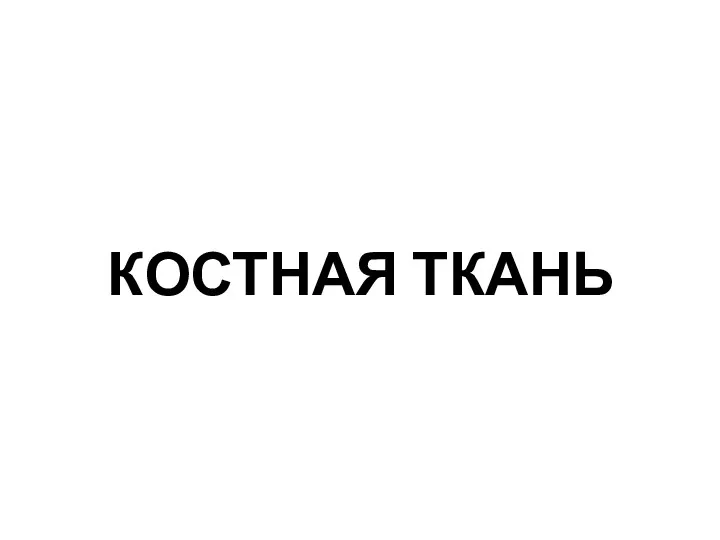 КОСТНАЯ ТКАНЬ