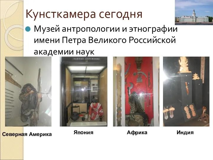 Кунсткамера сегодня Музей антропологии и этнографии имени Петра Великого Российской