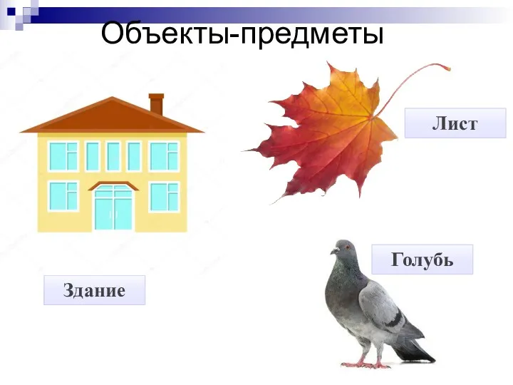 Объекты-предметы Здание Лист Голубь