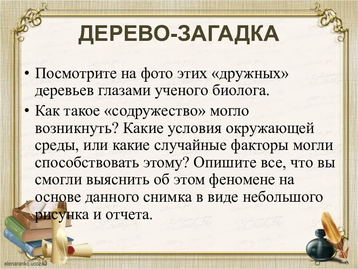 ДЕРЕВО-ЗАГАДКА Посмотрите на фото этих «дружных» деревьев глазами ученого биолога.